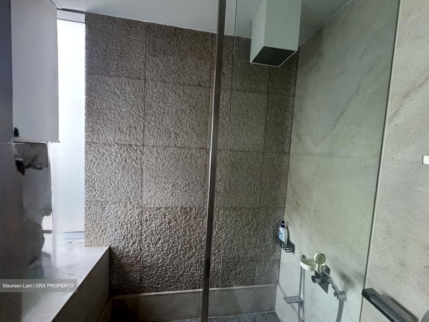 SilverSea (D15), Condominium #605875411